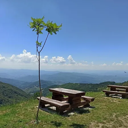 Milmari S30 * Kopaonik